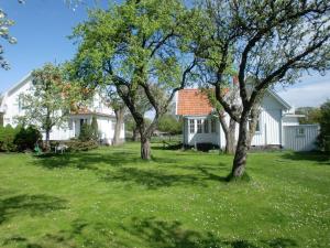 2 arbres dans la cour d'une maison dans l'établissement Bond-Gården, à Fågelmara