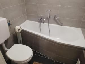 a bathroom with a toilet and a bathtub with a shower at Moscow Areal Suite in Baden-Baden +20 photos