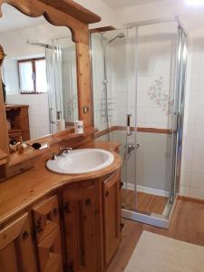 a bathroom with a sink and a shower at Chalet Elena in Auronzo di Cadore