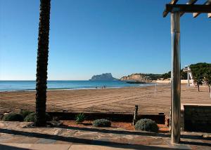a beach with two palm trees and the ocean at Alojamiento turistico Ribagorza in El Lligallo del Gànguil