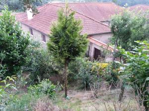 une maison avec un arbre en face dans l'établissement Casa de Campo Cabriz Casa do Brasileiro, à Vila Real