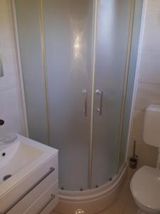 a bathroom with a shower and a toilet and a sink at Studio Apartment Sanja 2 in Neum
