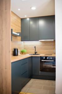 a kitchen with black cabinets and a sink at Luna Deluxe City Center & Free Parking in Sarajevo