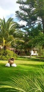 a vase sitting on top of a field of grass at Zaysant Ecolodge in Puembo