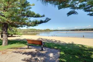 a bench sitting on a beach next to a tree at Coolum Street 41 Dicky Beach in Caloundra