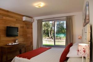 ein Schlafzimmer mit einem Bett, einem Fernseher und einem Fenster in der Unterkunft María Cristina Posada in Punta del Este