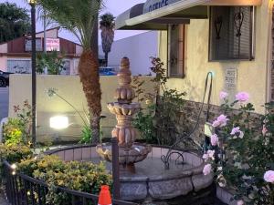 Aed väljaspool majutusasutust Apache Inn