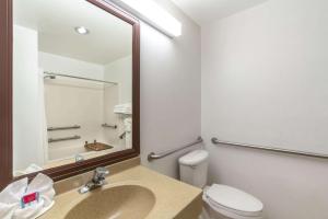 a bathroom with a sink and a toilet and a mirror at Microtel Inn & Suites in Raton