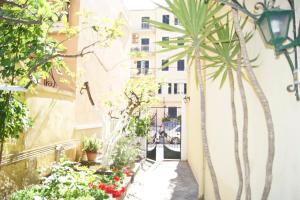 an alley with a palm tree and a building at CORFU TOWN APARTMENT in Corfu