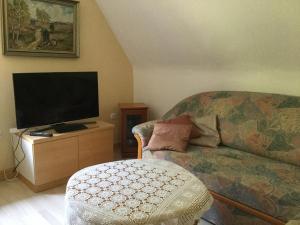 ein Wohnzimmer mit einem Sofa und einem Flachbild-TV in der Unterkunft 20 Pellaweg Ferienwohnung in Bielefeld