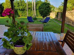 Ogród w obiekcie Villa Antonella