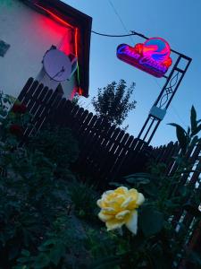 une clôture et une fleur jaune devant un bâtiment dans l'établissement Casa Carter, à Sfântu Gheorghe
