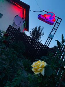 einen Zaun und eine gelbe Blume vor einem Gebäude in der Unterkunft Casa Carter in Sfântu Gheorghe