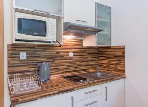 Kuchyňa alebo kuchynka v ubytovaní Apartmán Lipno 20