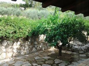 A garden outside Crapa Licca