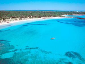an aerial view of a beach with a boat in the water at Cas Ferrer Nou Hotelet in Alcudia