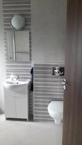 Kúpeľňa v ubytovaní Hunor House + 31 fotografií