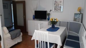 Μια τηλεόραση ή/και κέντρο ψυχαγωγίας στο Apartment Rebula