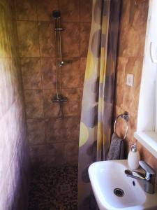 Afbeelding uit fotogalerij van Grāveri kempings in Usma +61 foto's