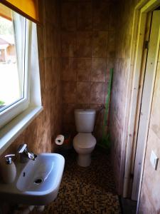 Afbeelding uit fotogalerij van Grāveri kempings in Usma