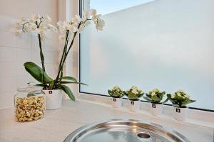 Fotografie z fotogalerie ubytování Vlaeberg Cottage v destinaci Kortemark