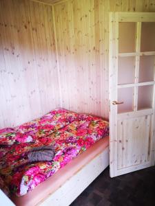 Afbeelding uit fotogalerij van Grāveri kempings in Usma