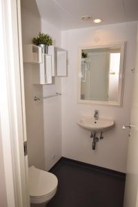 uma casa de banho com um WC e um lavatório em Danhostel Frederikshavn City em Frederikshavn