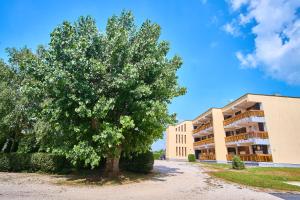 duże drzewo przed budynkiem w obiekcie Füredem Apartman w Balatonfüred