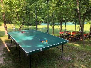 a green ping pong table in a park at Dren - Banjska stena in Mitrovac