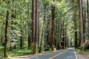 Fotografie z fotogalerie ubytování Dolphin Manor v destinaci Fort Bragg + 20 fotografií