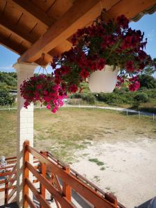 a wreath of red flowers hanging from a porch at Apartment Alexis Armeno in Marathias