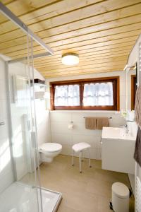 フロイデンシュタットにあるLandhaus Anjaのトイレと洗面台付きのバスルーム