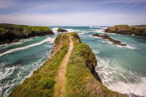 Un sentiero su una scogliera vicino all'oceano di Dolphin Manor a Fort Bragg