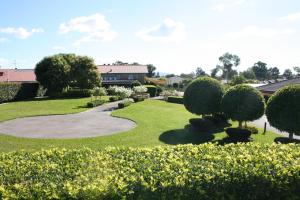 a large green garden with a tree in the middle of it at Hunter Valley Travellers Rest Motel in Cessnock