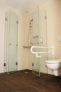 La salle de bains est pourvue d'une douche et de toilettes. dans l'établissement Arena Hotel, à Henstedt-Ulzburg