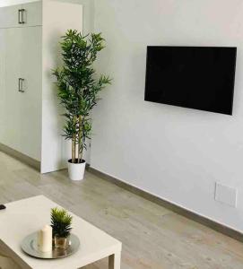 A television and/or entertainment centre at 907 Estudio con terraza Puerto de la Cruz Martianez
