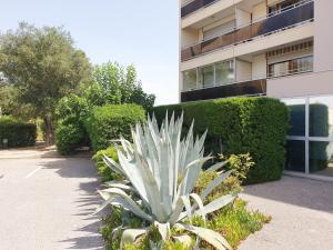 una pianta di ananas di fronte a un edificio di Studio moderne avec parking et piscine- 313 a Canet-en-Roussillon