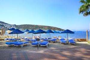 Imagine din galeria proprietății Summer Garden Suites Beach Hotel în Bitez