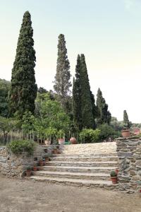 a set of stone stairs with potted plants on them at Apatouria Farmhouse in Andros