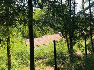 Gallery image of Altes Forstamt Altenau in Altenau +16 photos
