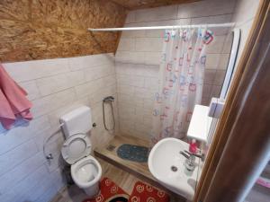 un bagno con wc, lavandino e doccia di B&B Konak a Plužine