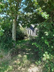 a yard with a tree and a house in the background at country house in Colijnsplaat