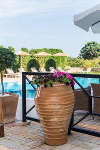 Gallery image of Mirage Studios in Malia +89 photos