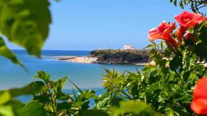 - Vistas a la playa desde un arbusto con flores en Casa da Zi en Vila Nova de Milfontes