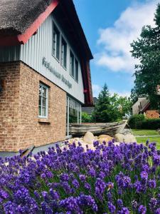 a house with purple flowers in front of it at "Kombüse" by Ferienhaus Strandgut in Born