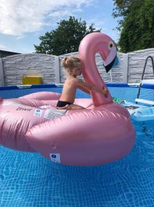 a girl is riding on anlatable flamingo in a pool at Willa Perła Morza in Władysławowo