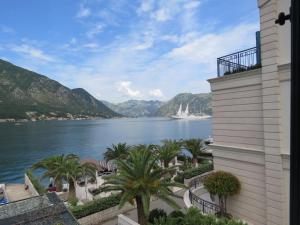 a view of a body of water with palm trees and a building at Apartmani Jasmina in Kotor