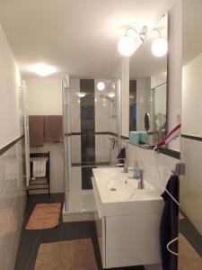 ein weißes Bad mit einem Waschbecken und einer Dusche in der Unterkunft Ferienhaus Schlupfwinkel in Bad Neuenahr-Ahrweiler