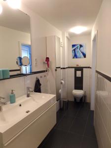 a bathroom with a sink and a toilet and a mirror at Ferienhaus Schlupfwinkel in Bad Neuenahr-Ahrweiler