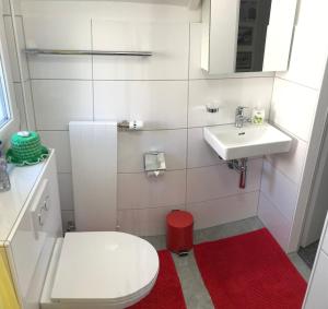 ein Badezimmer mit einem weißen WC und einem Waschbecken in der Unterkunft Am Ufer in Davos